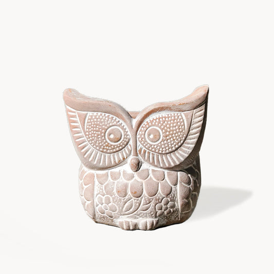 Terracotta Pot - Big Eye Owl-0