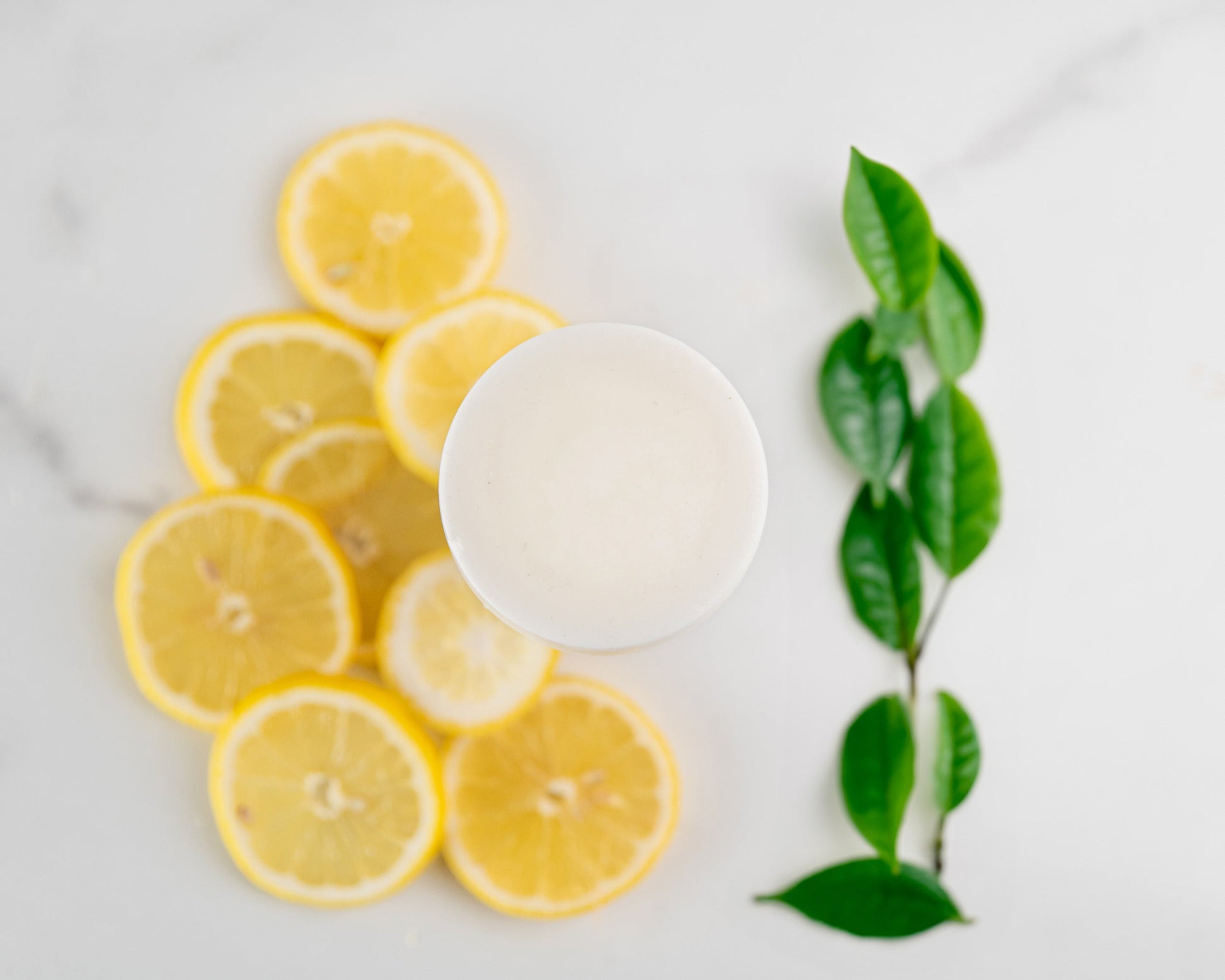 Shampoo & Conditioner Kit-4