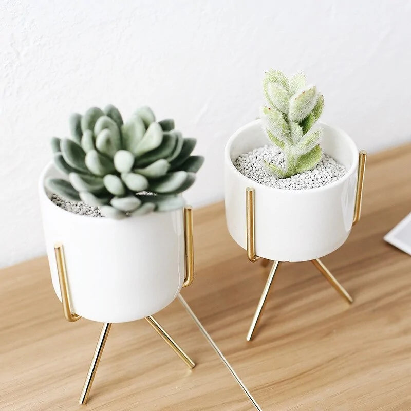 Nordic Style Ceramic Planter