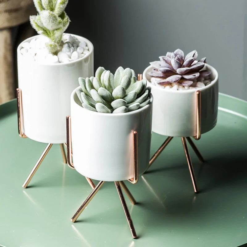 Nordic Style Ceramic Planter