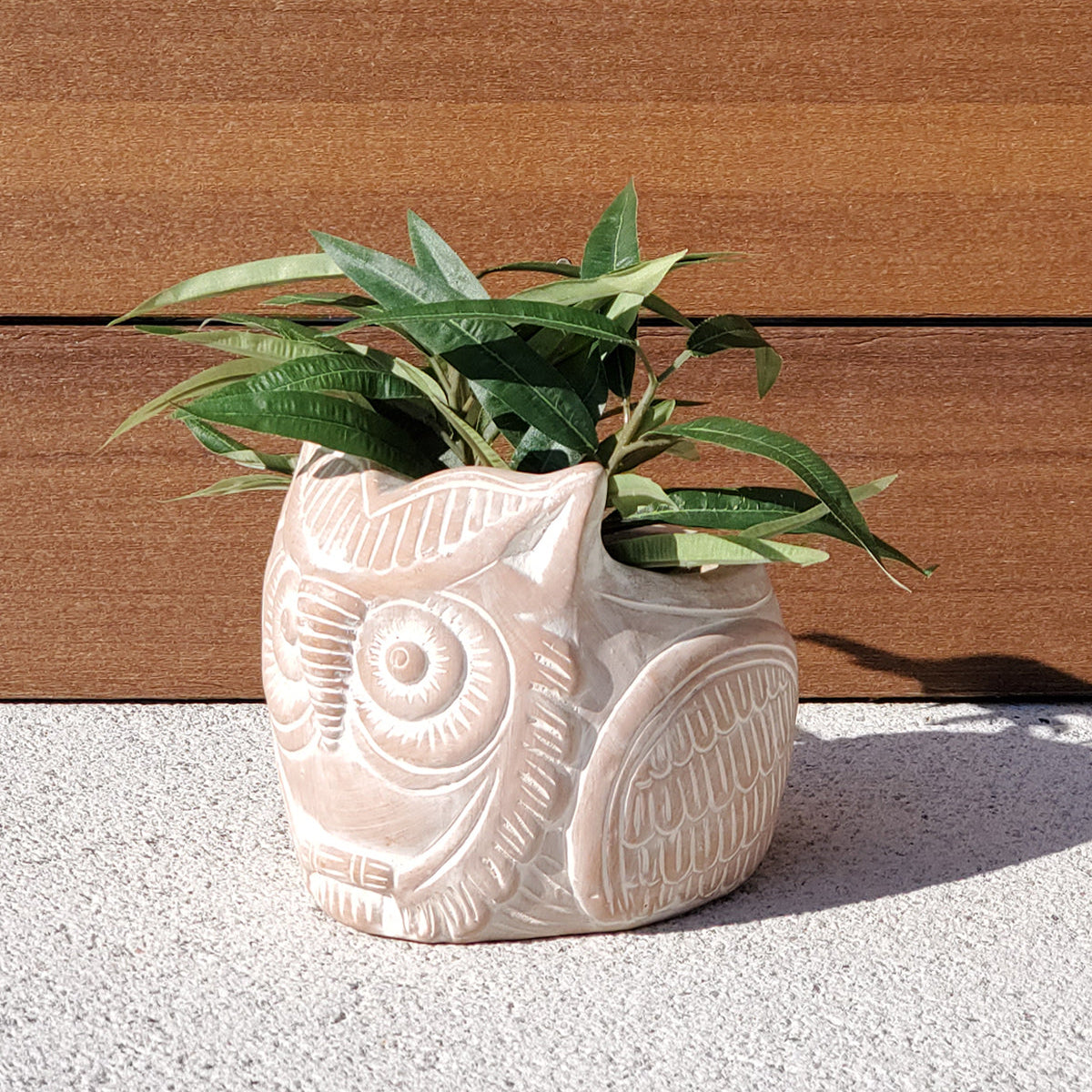 Terracotta Pot - Horned Owl-4
