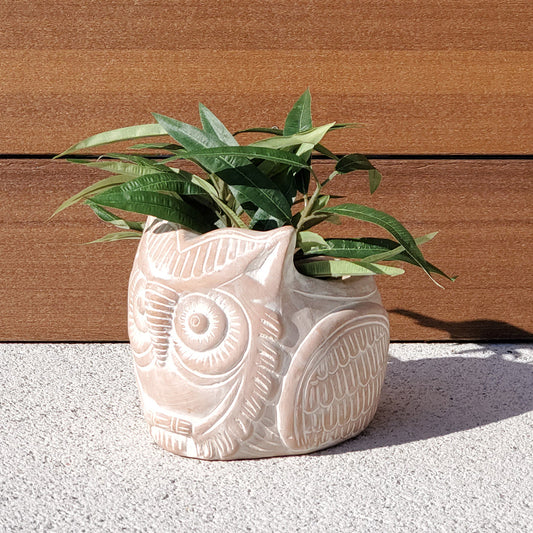 Terracotta Pot - Horned Owl-4