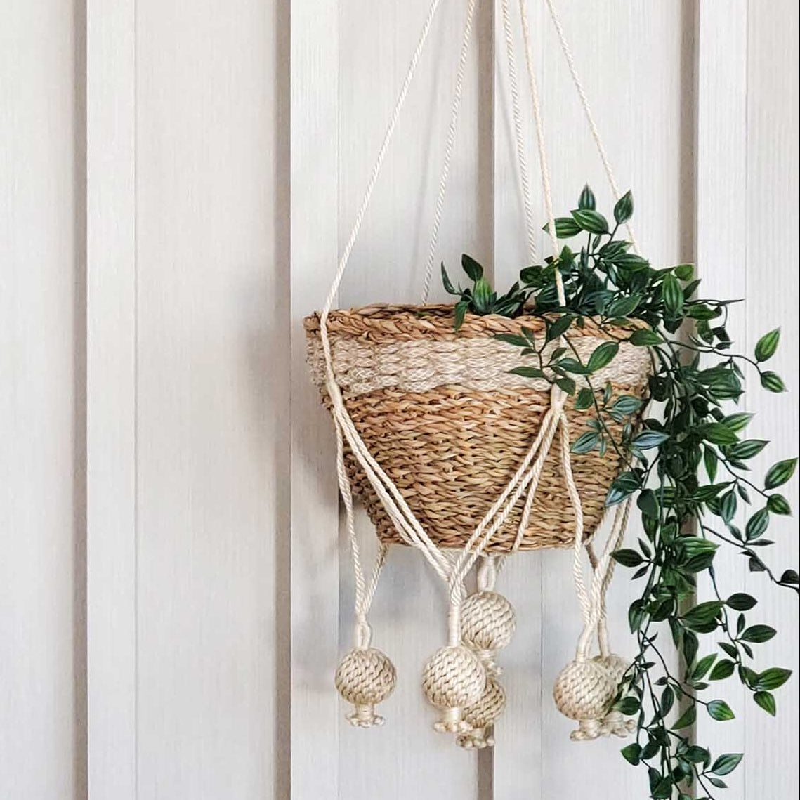Plant Hanger - Kadam-1