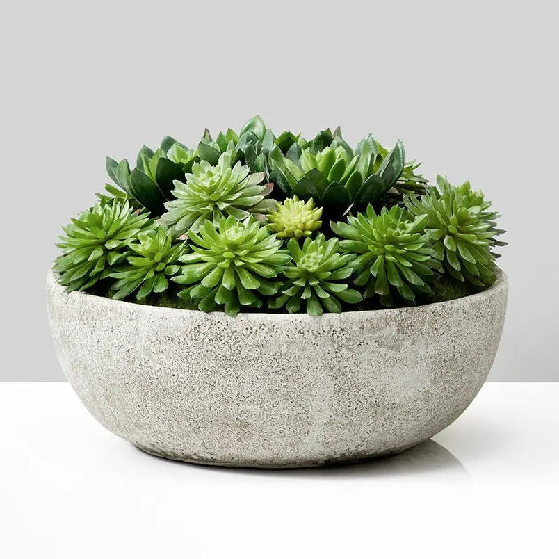 Succulent Mix In Bowl-0