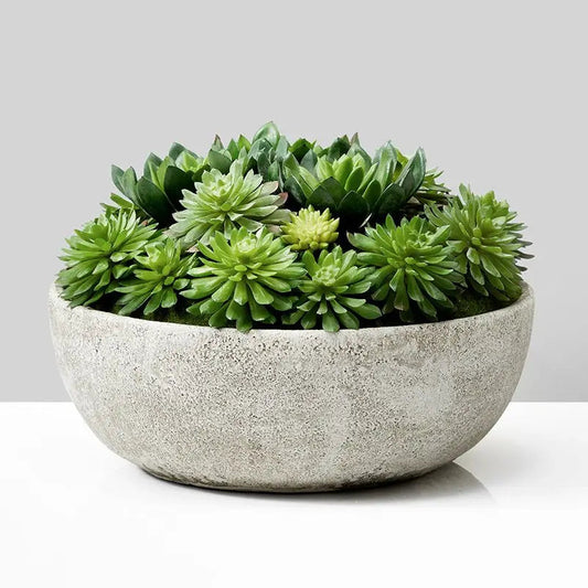 Succulent Mix In Bowl-0