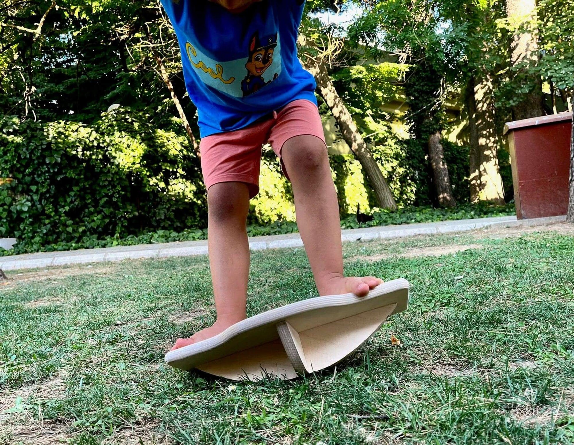 Maze Wooden Balance Board-1
